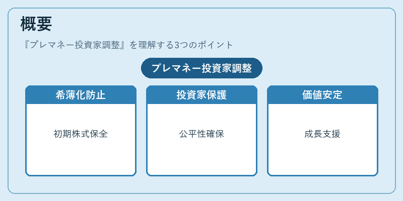 概要（プレマネー投資家調整）の図解