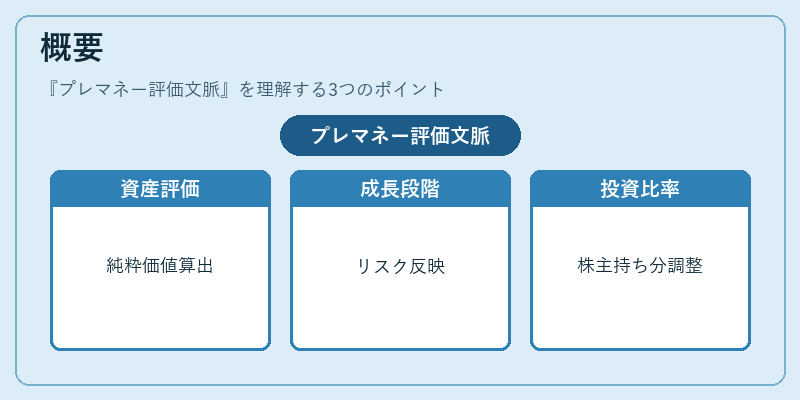 概要(プレマネー評価文脈)の図解