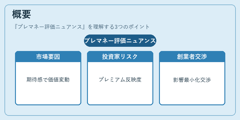 概要(プレマネー評価ニュアンス)の図解