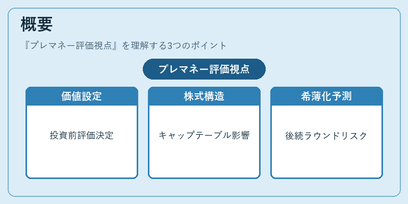 概要（プレマネー評価視点）の図解