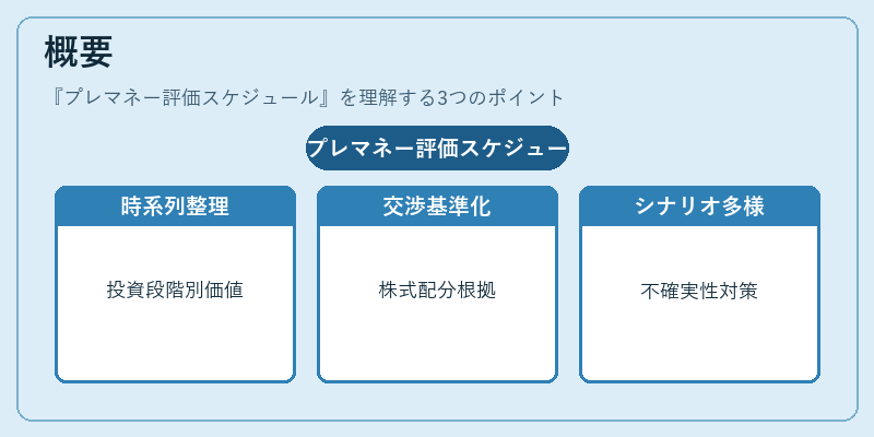 概要（プレマネー評価スケジュール）の図解