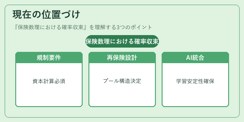 現在の位置づけ（保険数理における確率収束）の図解