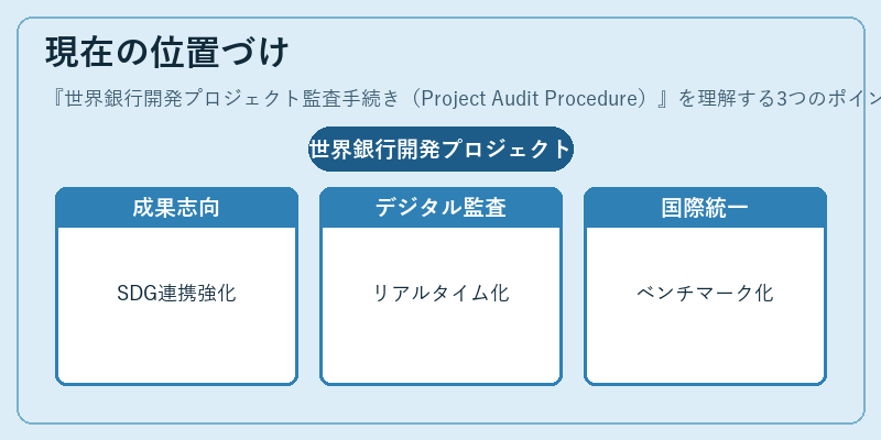 現在の位置づけ（世界銀行開発プロジェクト監査手続き（Project Audit Procedure））の図解