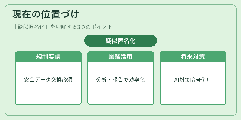 現在の位置づけ（疑似匿名化）の図解