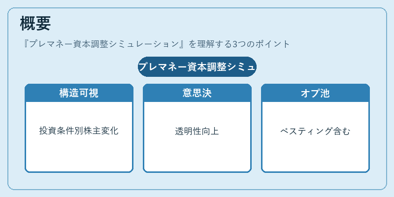 概要（プレマネー資本調整シミュレーション）の図解