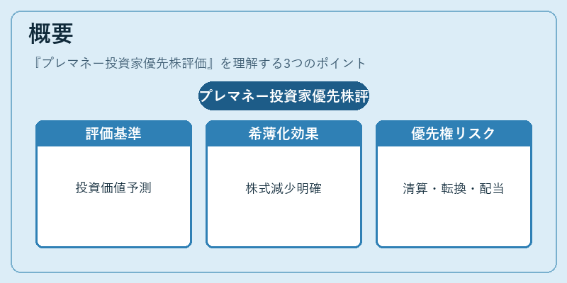 概要(プレマネー投資家優先株評価)の図解