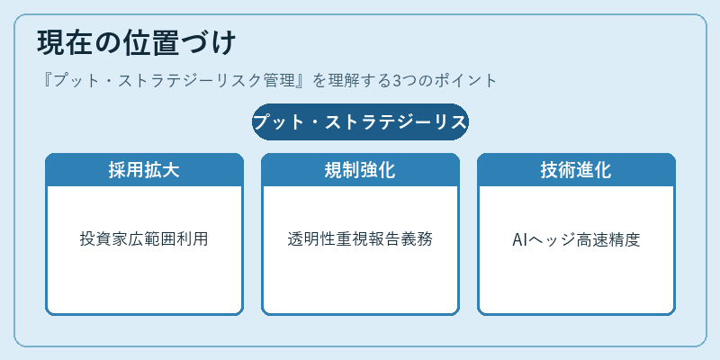 現在の位置づけ(プット・ストラテジーリスク管理)の図解