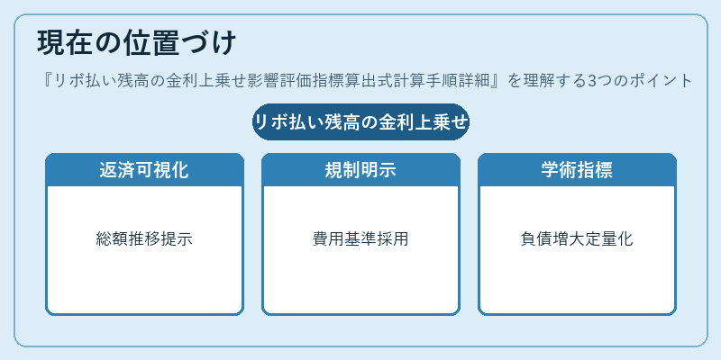 現在の位置づけ（リボ払い残高の金利上乗せ影響評価指標算出式計算手順詳細）の図解