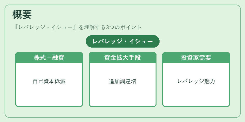 概要(レバレッジ・イシュー)の図解