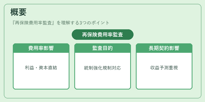 概要（再保険費用率監査）の図解