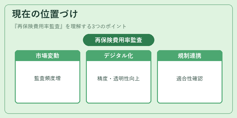 現在の位置づけ（再保険費用率監査）の図解