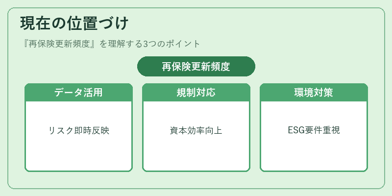 現在の位置づけ（再保険更新頻度）の図解
