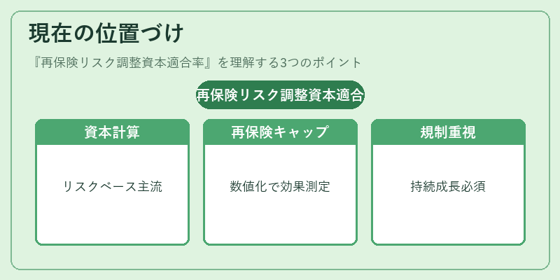 現在の位置づけ（再保険リスク調整資本適合率）の図解