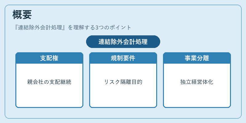概要（連結除外会計処理）の図解