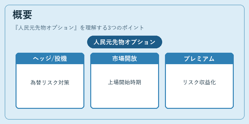 概要(人民元先物オプション)の図解