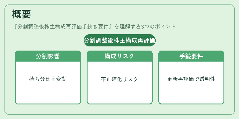 概要（分割調整後株主構成再評価手続き要件）の図解