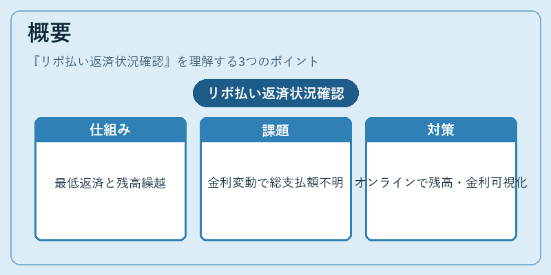 概要（リボ払い返済状況確認）の図解
