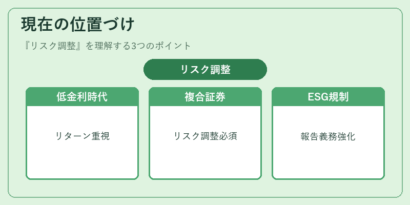 現在の位置づけ（リスク調整）の図解
