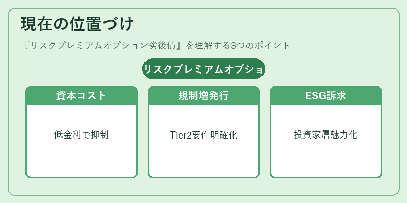 現在の位置づけ（リスクプレミアムオプション劣後債）の図解