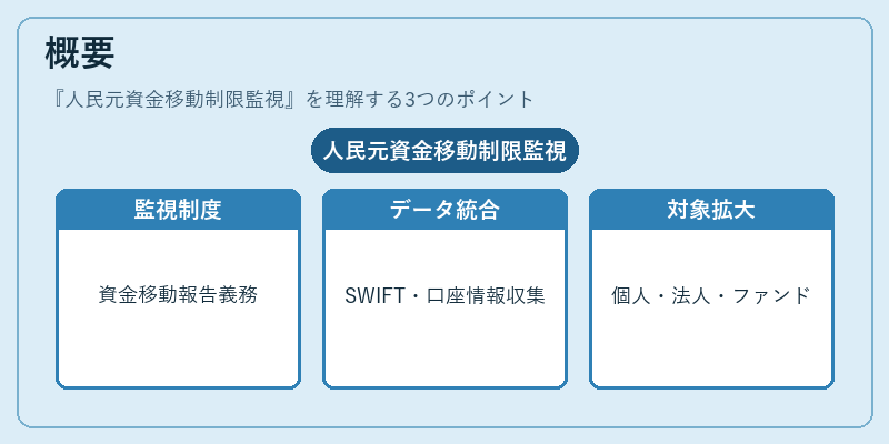 概要（人民元資金移動制限監視）の図解