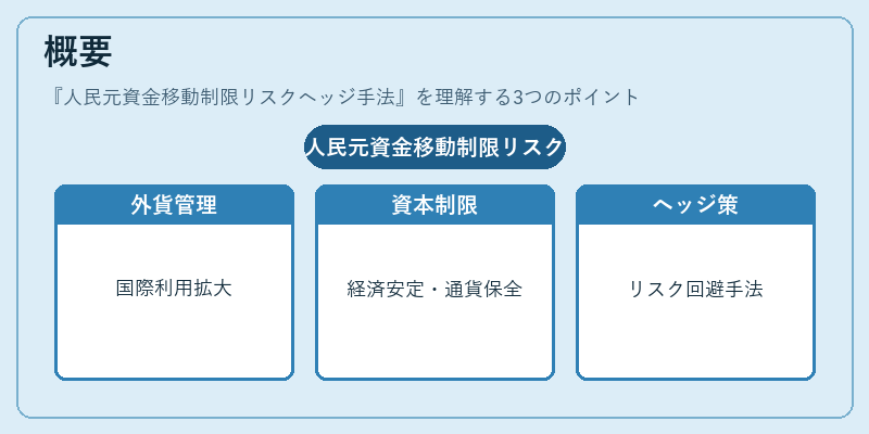 概要（人民元資金移動制限リスクヘッジ手法）の図解