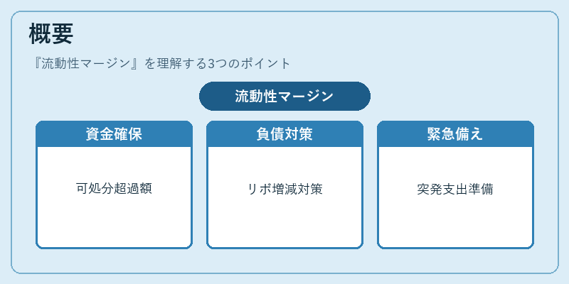 概要（流動性マージン）の図解