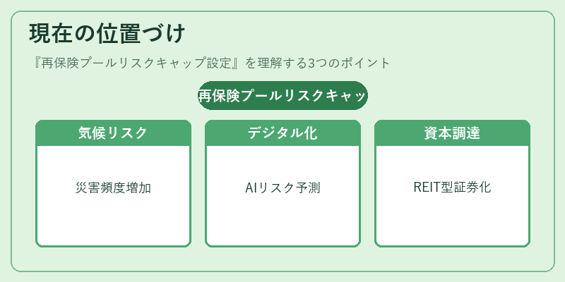 現在の位置づけ(再保険プールリスクキャップ設定)の図解
