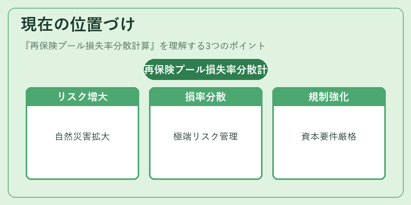 現在の位置づけ（再保険プール損失率分散計算）の図解