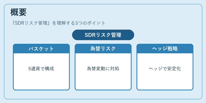 概要（SDRリスク管理）の図解