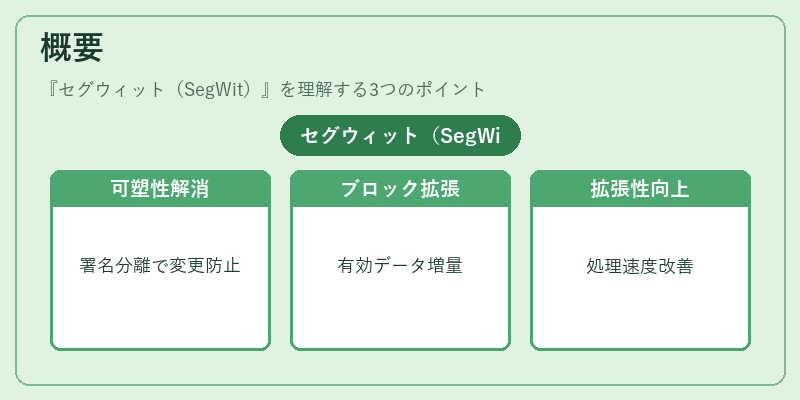 概要（セグウィット（SegWit））の図解