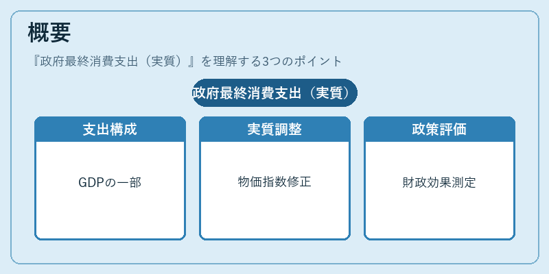 概要(政府最終消費支出(実質))の図解