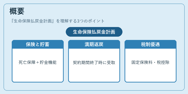 概要（生命保険払戻金計画）の図解