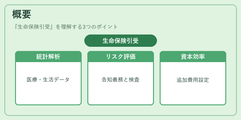 概要(生命保険引受)の図解