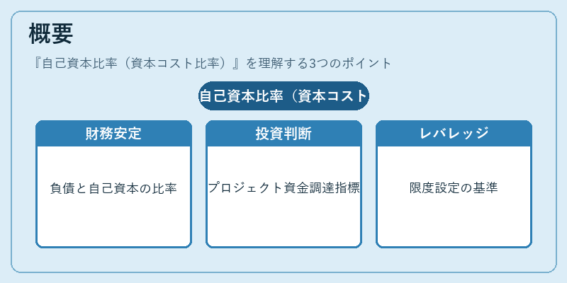 概要(自己資本比率(資本コスト比率))の図解