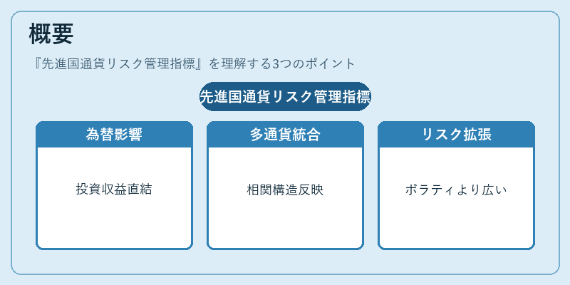 概要（先進国通貨リスク管理指標）の図解