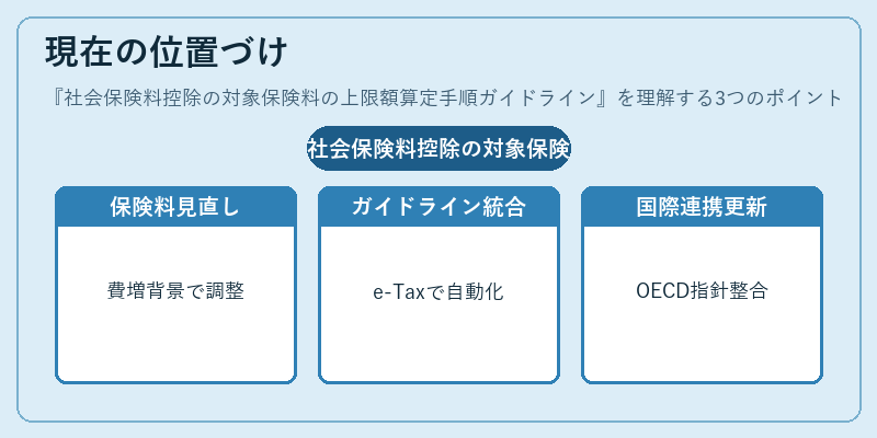現在の位置づけ（社会保険料控除の対象保険料の上限額算定手順ガイドライン）の図解