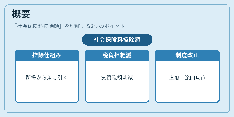 概要（社会保険料控除額）の図解