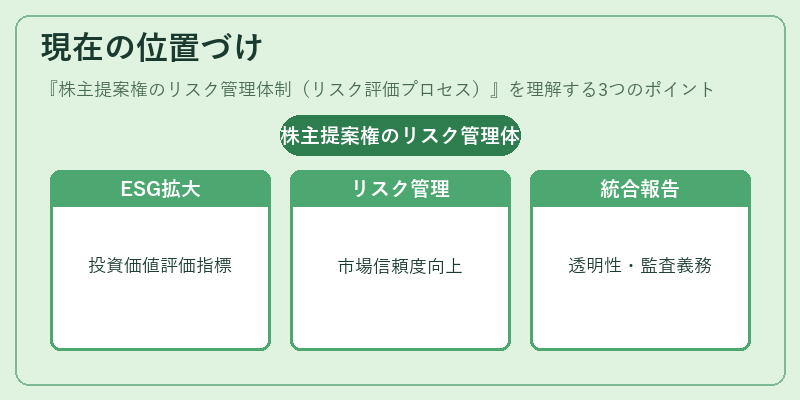 現在の位置づけ（株主提案権のリスク管理体制（リスク評価プロセス））の図解