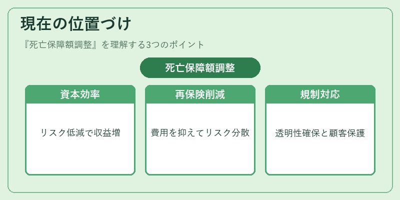 現在の位置づけ(死亡保障額調整)の図解