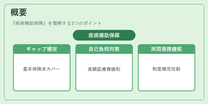 概要(疾病補助保障)の図解