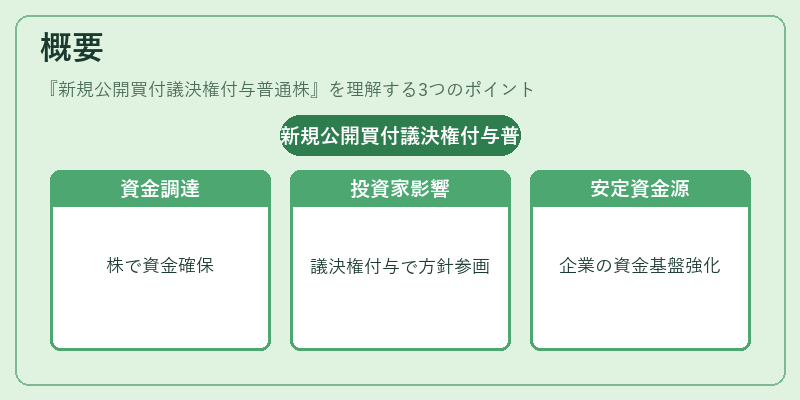 概要（新規公開買付議決権付与普通株）の図解