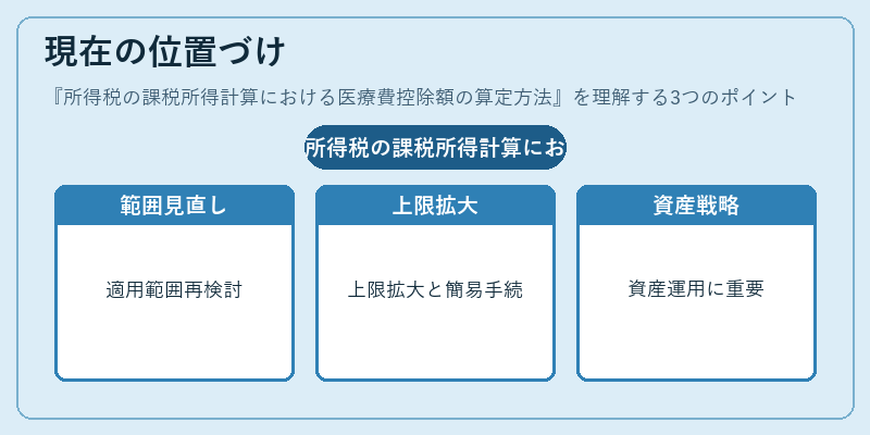 現在の位置づけ（所得税の課税所得計算における医療費控除額の算定方法）の図解