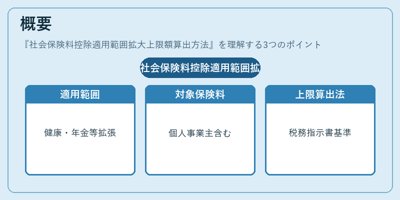 概要(社会保険料控除適用範囲拡大上限額算出方法)の図解