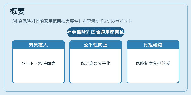 概要（社会保険料控除適用範囲拡大要件）の図解