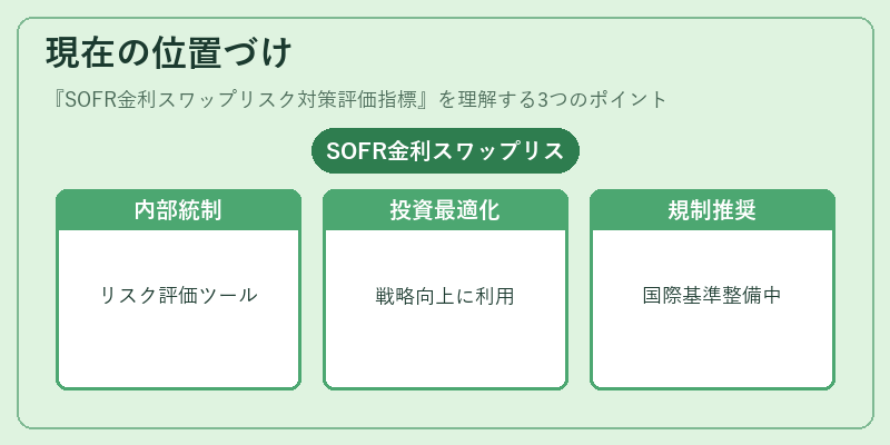 現在の位置づけ（SOFR金利スワップリスク対策評価指標）の図解