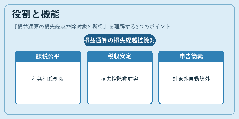 役割と機能（損益通算の損失繰越控除対象外所得）の図解