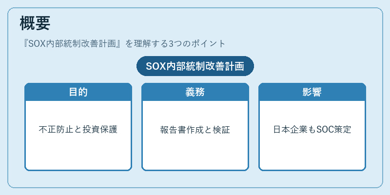 概要（SOX内部統制改善計画）の図解