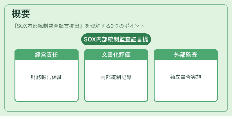 概要（SOX内部統制監査証言提出）の図解