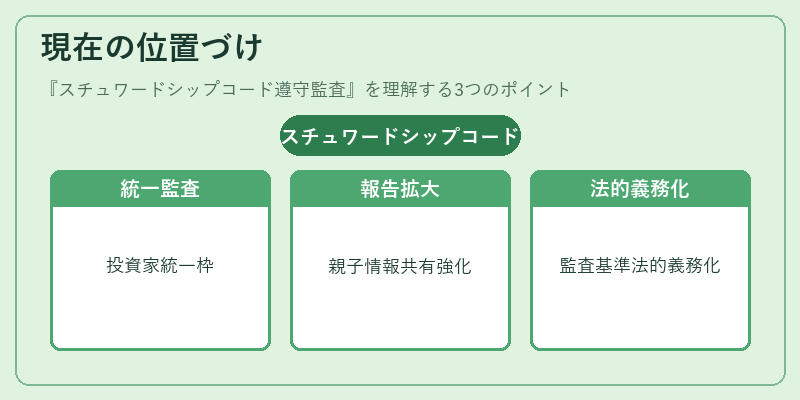 現在の位置づけ（スチュワードシップコード遵守監査）の図解