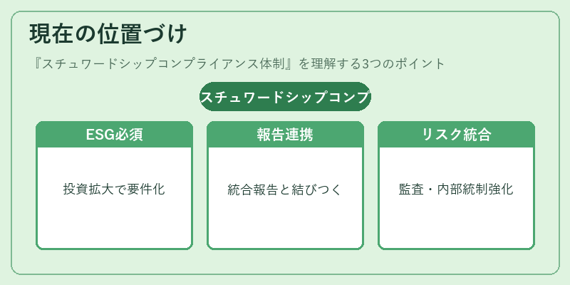 現在の位置づけ（スチュワードシップコンプライアンス体制）の図解